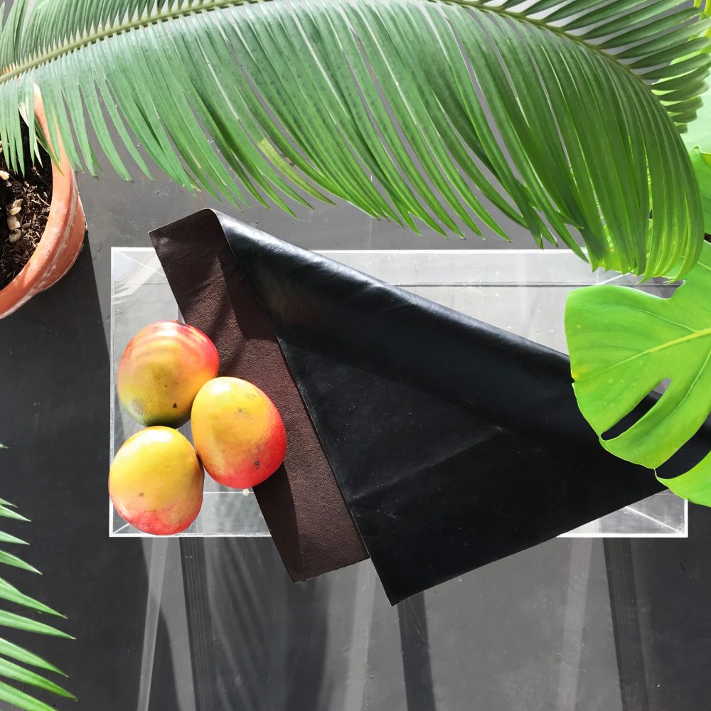 Products Archive Fruitleather Rotterdam